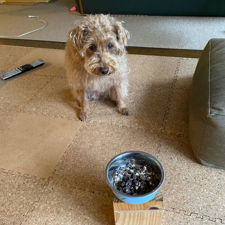 E2dd8922 0d75 466e 9790 912dd50f24a8 1694298140958