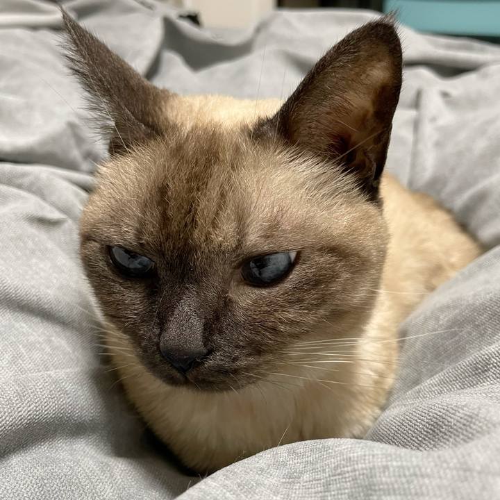 E2ddc596 74ca 44c4 ad41 38d5bae7ee04 1763772566732