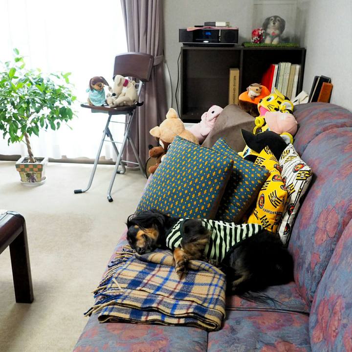 E2ddd0dd 06cb 4f88 968b 8eb9703b7322 1528092570931