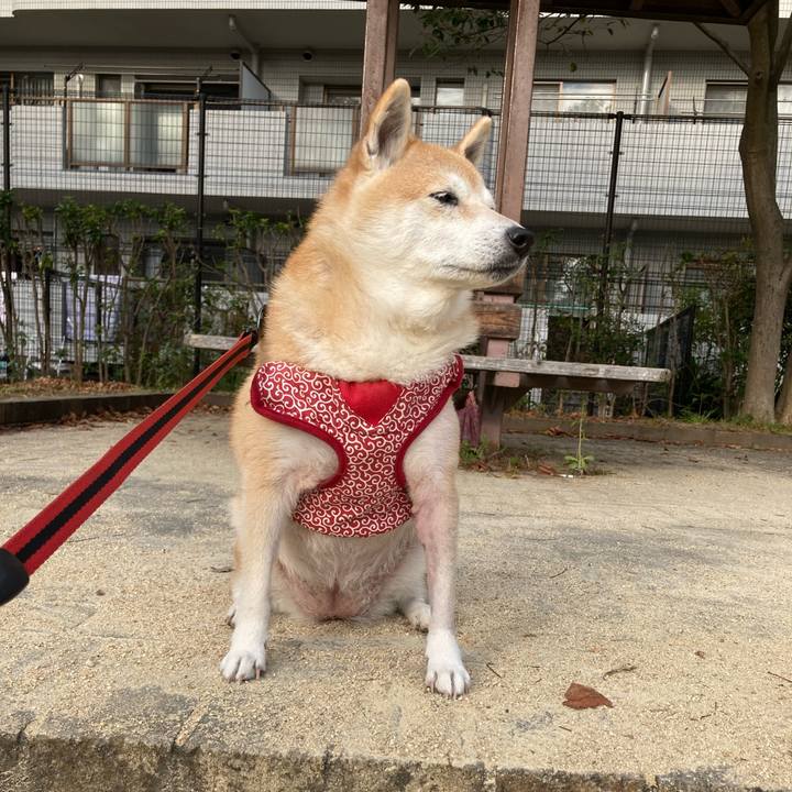 E2dddf02 1d40 41b4 8623 f5c4efce52e9 1639380725163