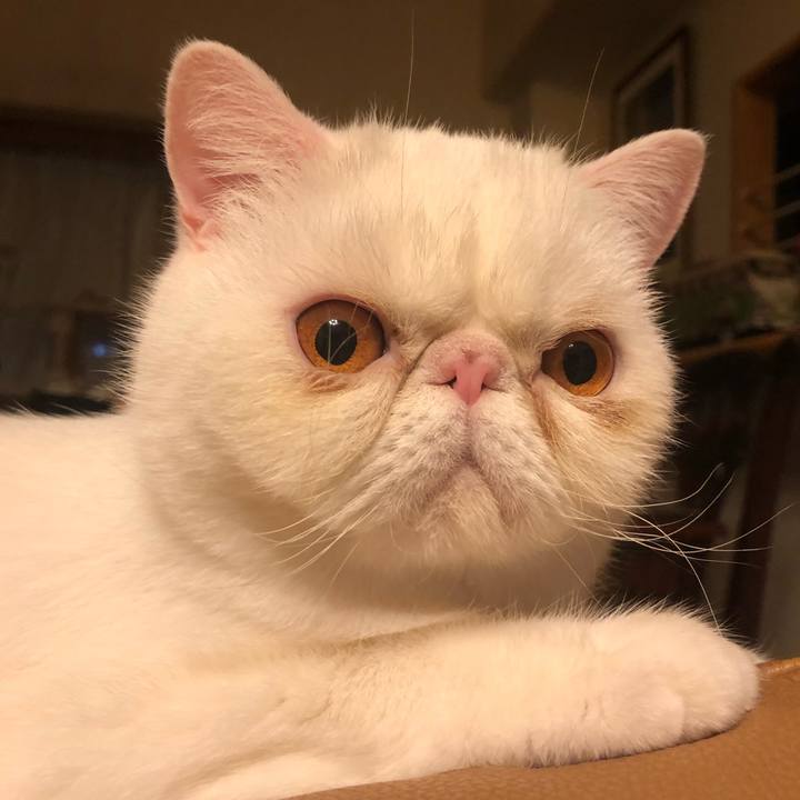 E2ddee78 9294 422f bbee d066244e16cd 1640433192789