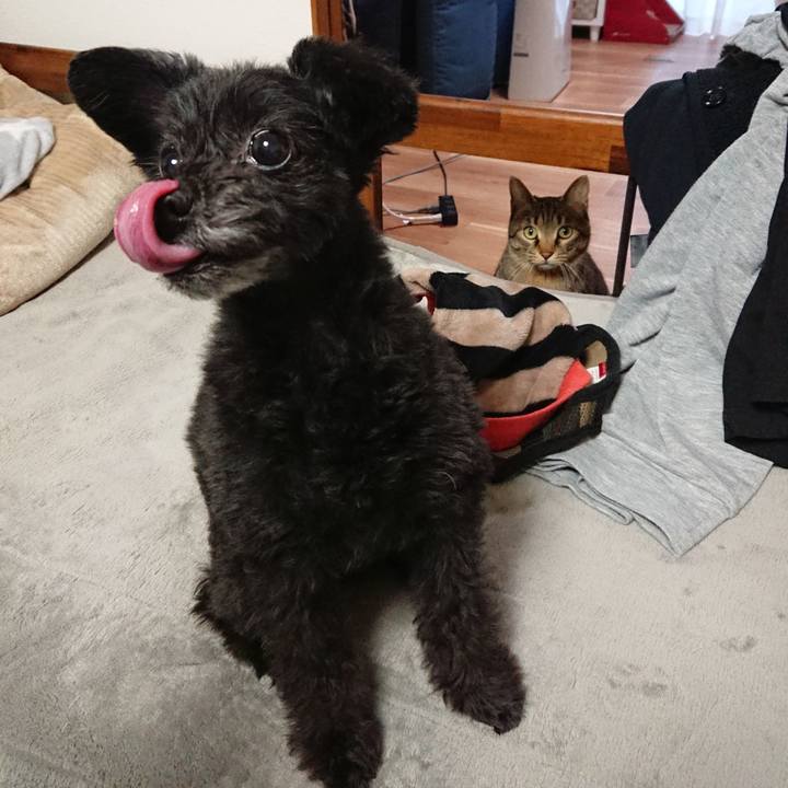 E2de0176 9df2 4106 9564 43f480b4e1f6 1549096355345