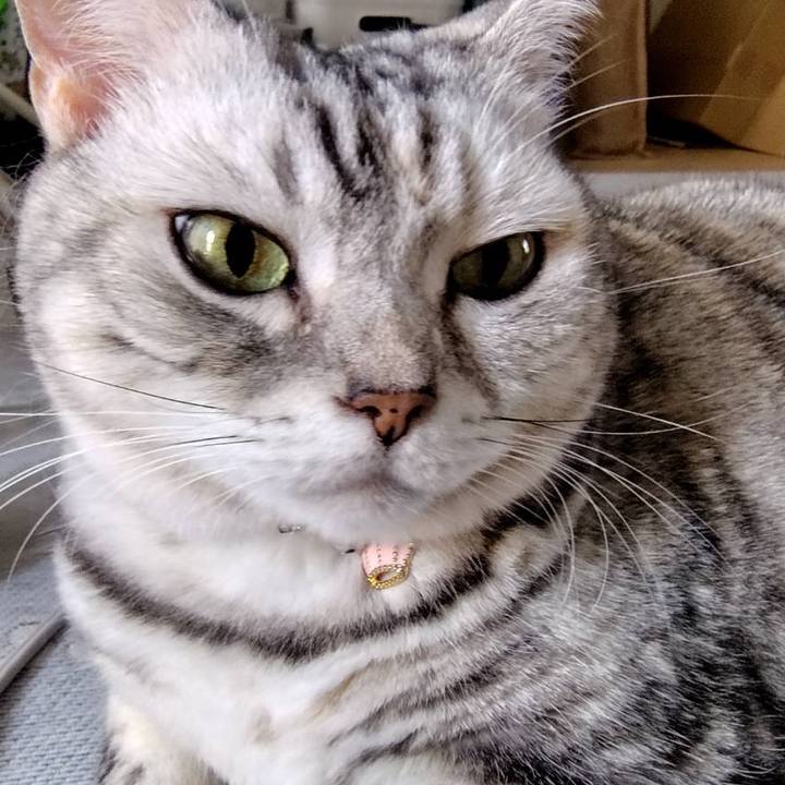 E2de13f4 484f 44c9 b35d 81adfb604935 1758839746329