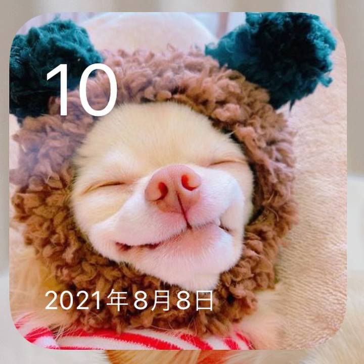 E2de1678 b7c2 4c62 ad07 1bf2e318f98e 1660128605681