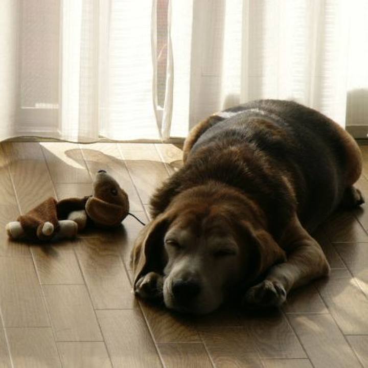 E2de44b5 1760 482e 92cb 67ca89621d45 1647738512703