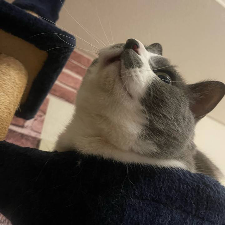 E2de4f8c b226 4c2c a3ec fd1d518b5a36 1744634343641