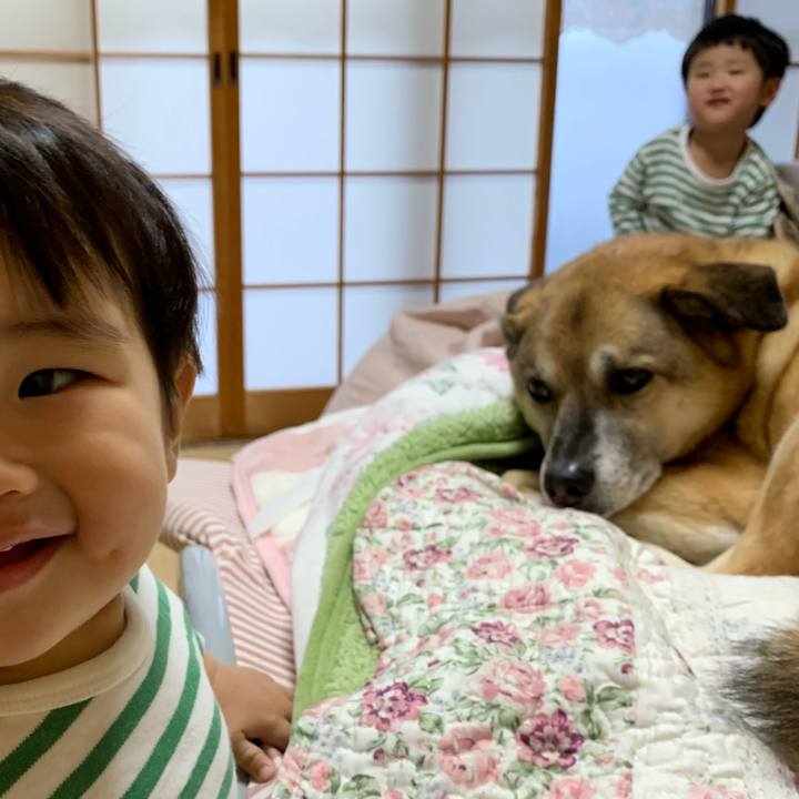 E2de5380 10f5 44ab b36d c533411e5f54 1553911721624