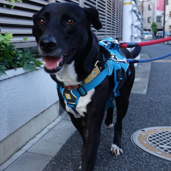 E2de6542 2aa0 4bef 9979 54e12b960848 1621940770830