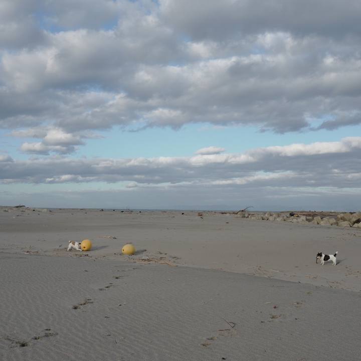 E2de7544 b101 41d3 92d2 fcceae32a2f2 1572669977980