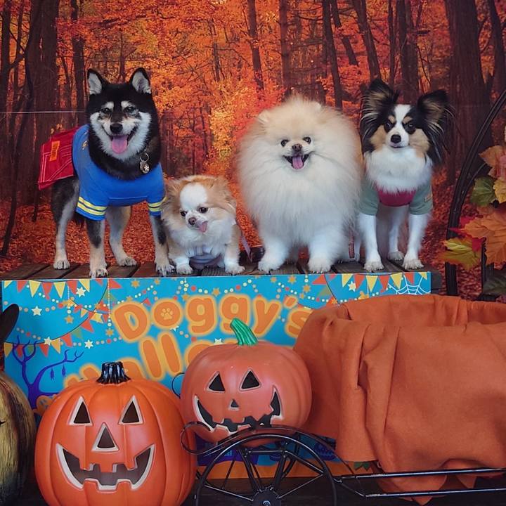 E2de909e 0842 40ac a4b0 80f83e42f26e 1728057557547