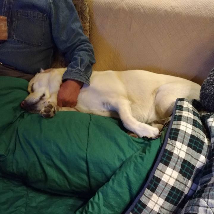 E2de9e13 afbc 435a aa37 f67b7a3fdc42 1620036266848