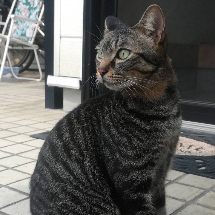 E2de9f8e b6d3 4fd0 afe5 adf3daeb83c1 1537153619270