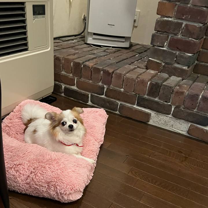 E2de9fbc 20f6 4eb1 a0b9 363d99ca1d77 1660360605670