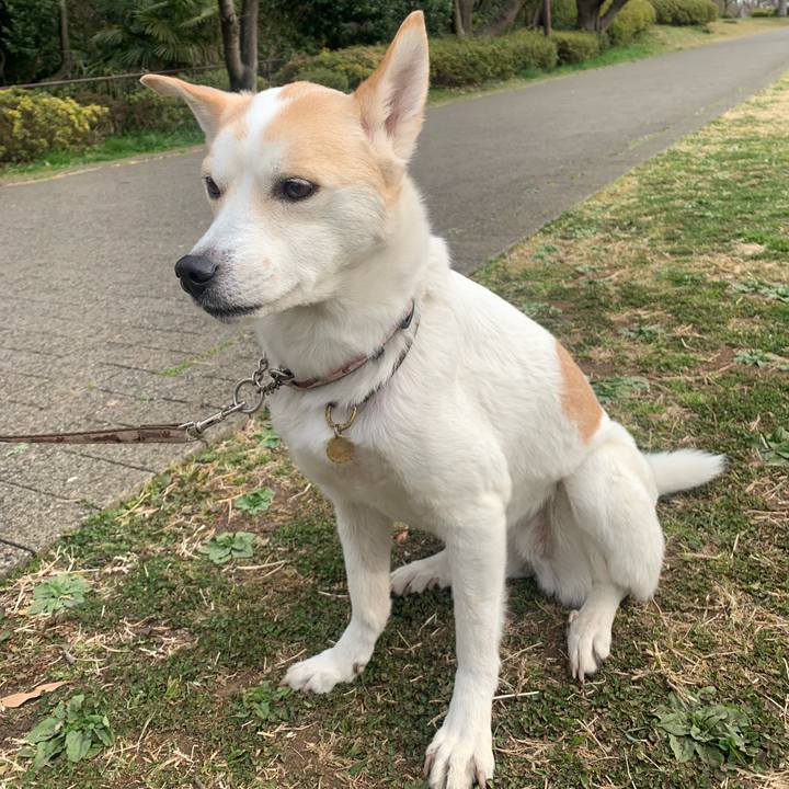 E2deb351 373f 448f 89a0 942155825117 1647139931785