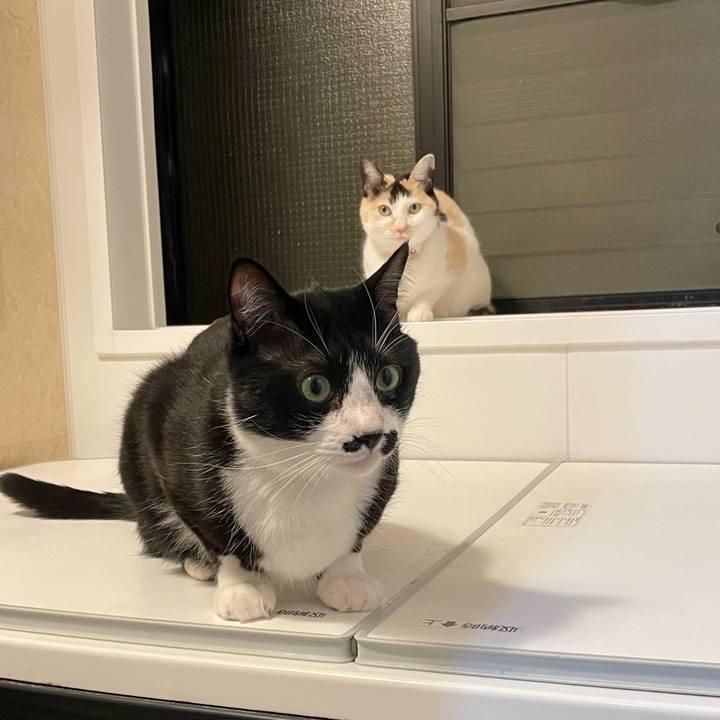 E2dec2dc 8523 42ba b48c 1084e5811372 1745763681436