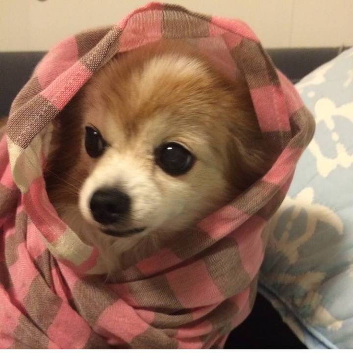 E2dedde6 3cb6 42e0 aa9f 8dadb45e2abb 1559515765871