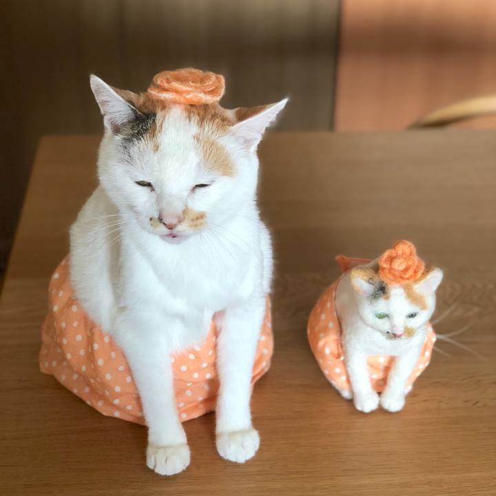 E2def49a b4cd 4715 9a6d ee5dd257937d 1524394600362