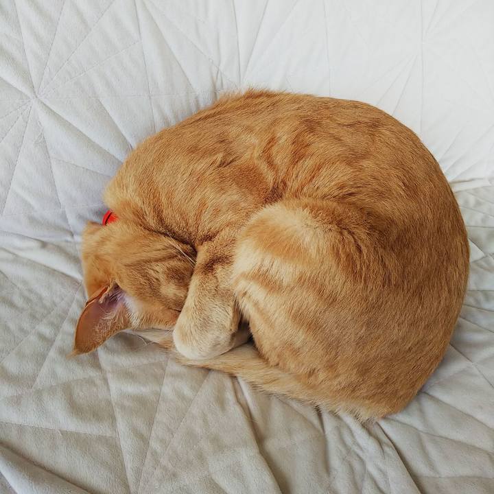 E2def601 e8a7 4917 81f5 11263399a146 1574495356070