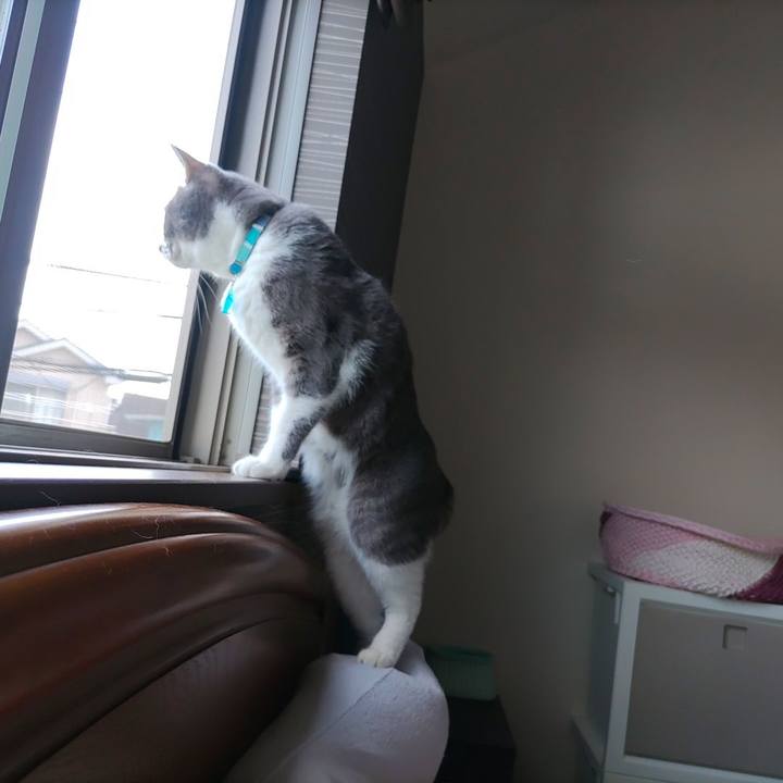 E2df39a6 51e7 4900 9f2c ce9e22ff1f86 1658106185666