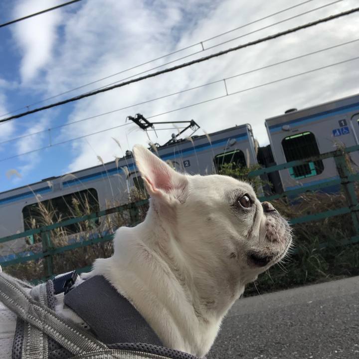 E2df4fd0 4ca9 45fa a52d ec494f322eea 1670119923692