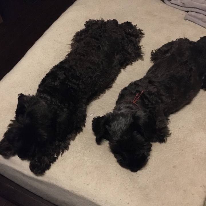 E2df64f3 2c9c 4610 8fc2 e3ab0b0b2bf3 1572780811982