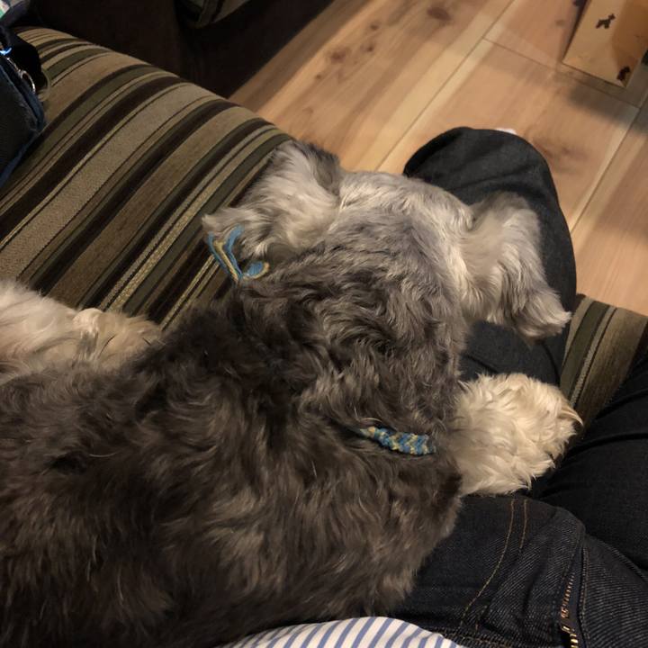 E2df96eb dd60 4c3d aa41 d654666301b1 1541105909741