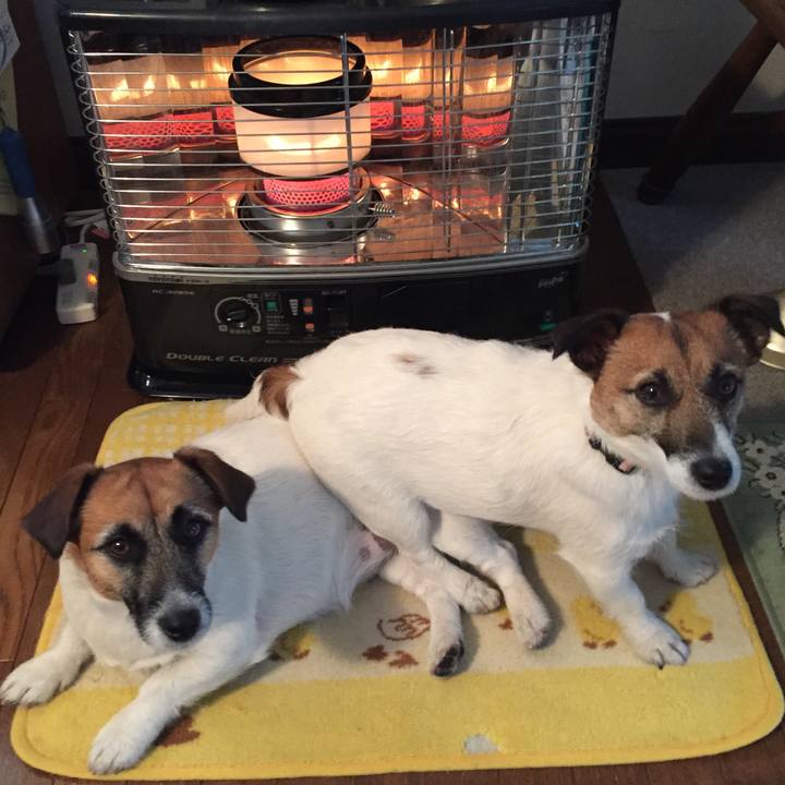 E2dfb1a2 51da 4d8d b674 b47e02de9bb9 1548210659753