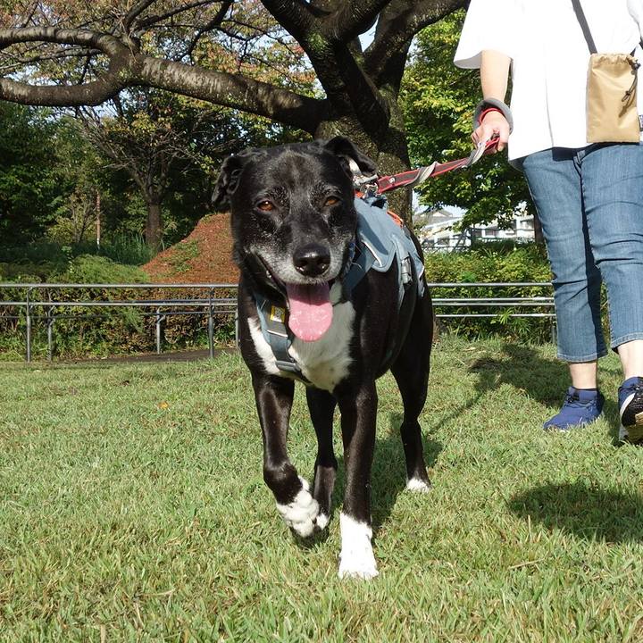 E2dfbabc 7bd7 44f9 a23e 47b7a9f6e0b0 1729297375944