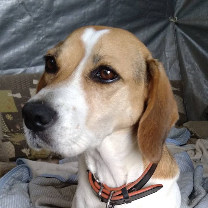 E2dfdb92 e9e0 49a3 a76c 205079998812 1634652916450