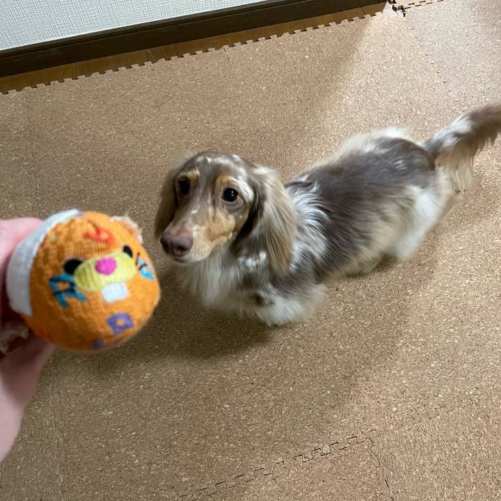 E2dfe7a4 3d1e 4fc7 9ba5 52af66a68766 1762048310971