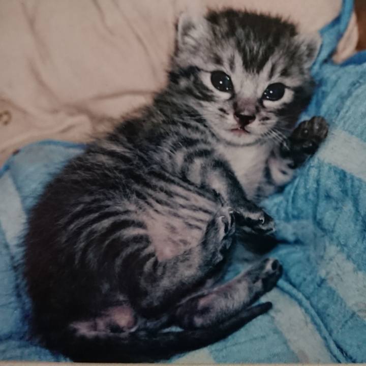 E2e00a36 aa15 4f0d b83e f0719eba49e8 1600200271179