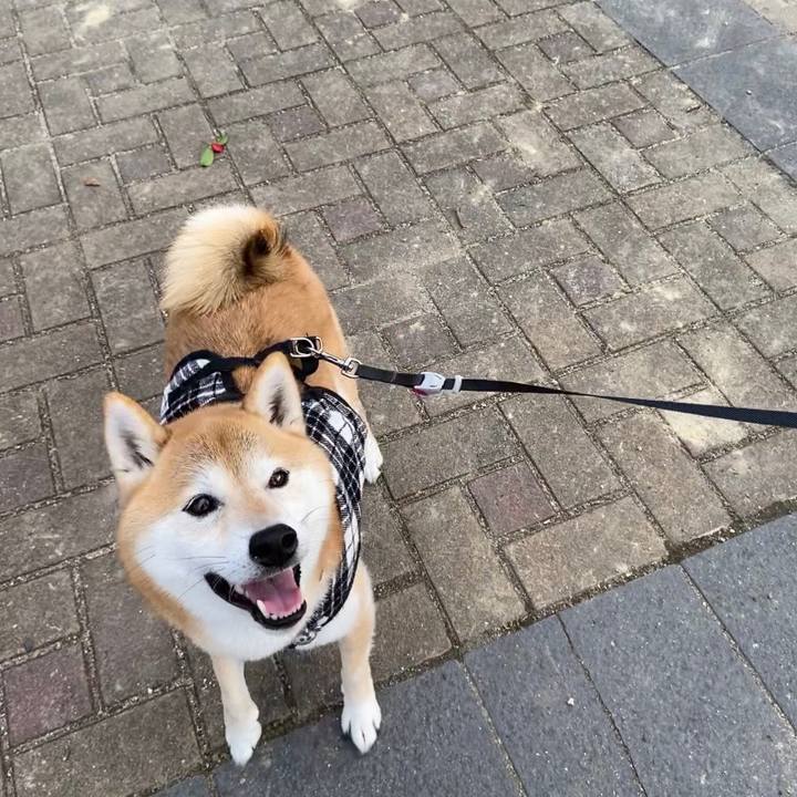 E2e03eef 2b94 4e8b 8c21 fc9fb0013568 1639491182149