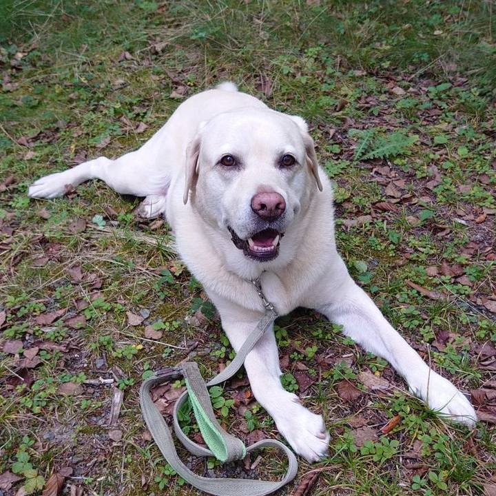 E2e05327 89f8 4652 a779 0125553c9f0b 1695726066251