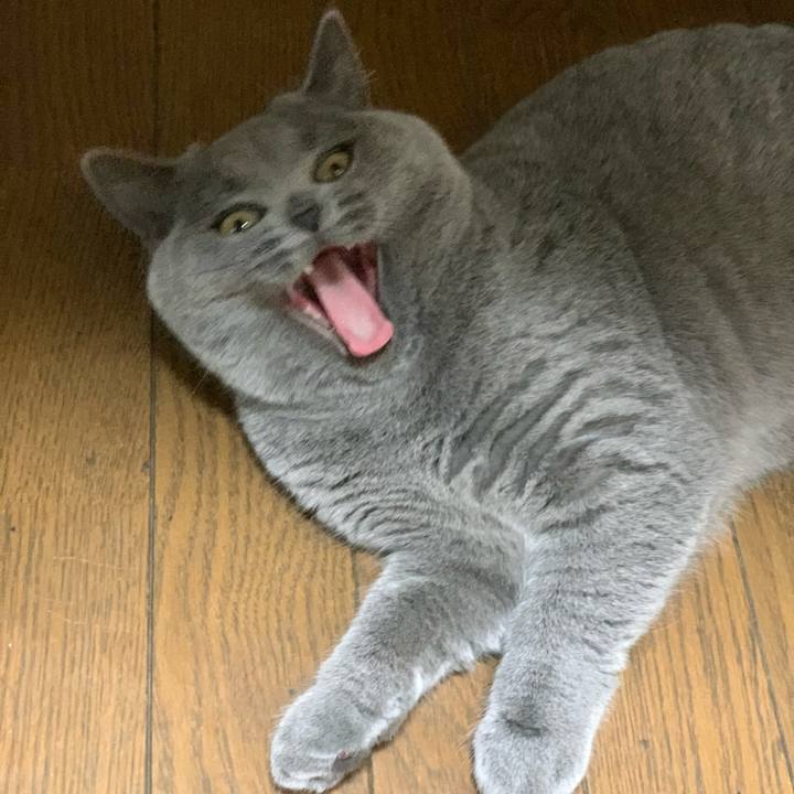 E2e06e7d 2a6d 4afe b11e 873dedf57883 1677144164849