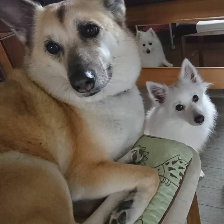 E2e08273 3037 408d 9cc8 ef98653f0ac9 1619867806579