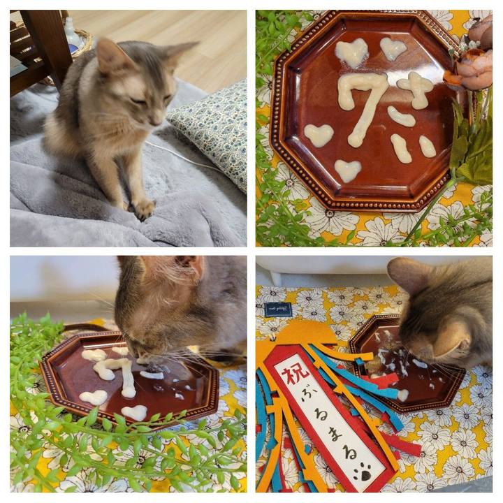 E2e08fc4 3049 44c2 8b6e c75eddd753a0 1638789874409