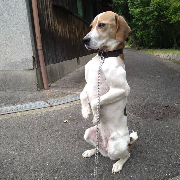 E2e09ddd 6571 4637 9d63 74d2e8a1d9a8 1655117811272