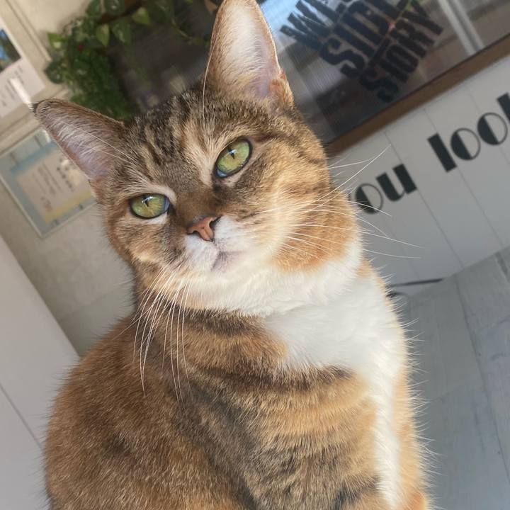 E2e0c4ae 8547 416c acc4 cad3b6f44ca4 1737861129574