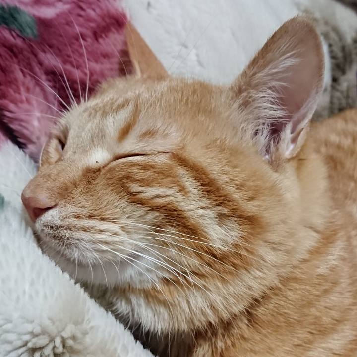 E2e0c7c4 c18e 4143 8198 564877b7eadb 1640436243653