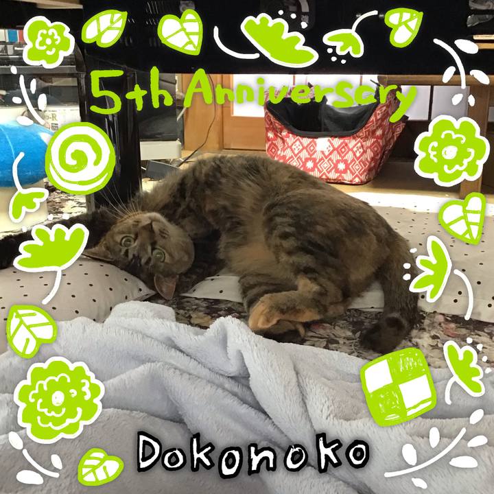 E2e0e0a3 dc3f 41ea 8ad9 1ed20ff79adb 1622856550679