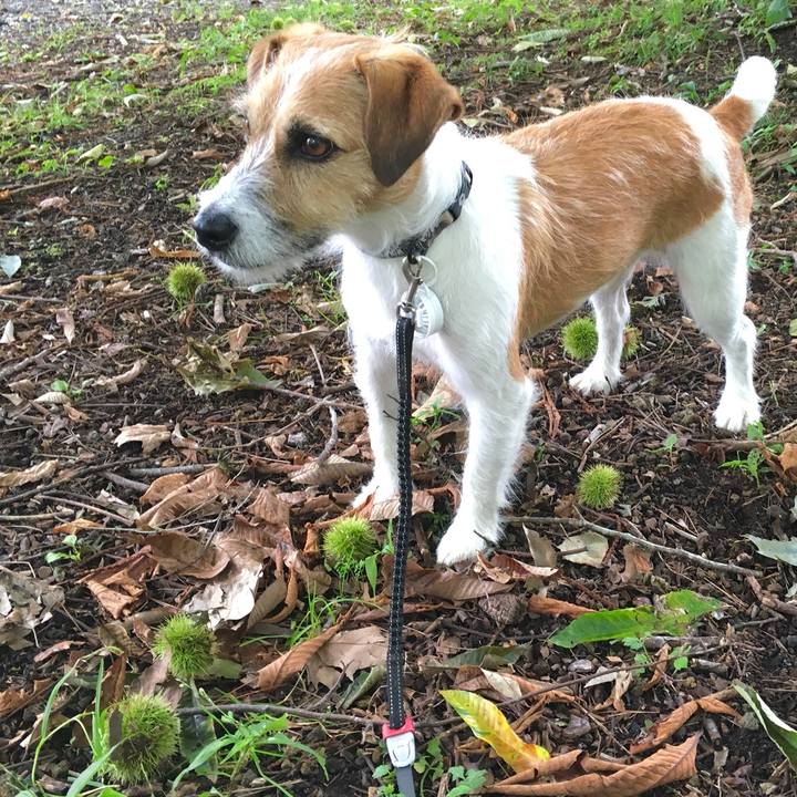 E2e1046b d817 4f15 bd0a 329d840c03fc 1568457681109