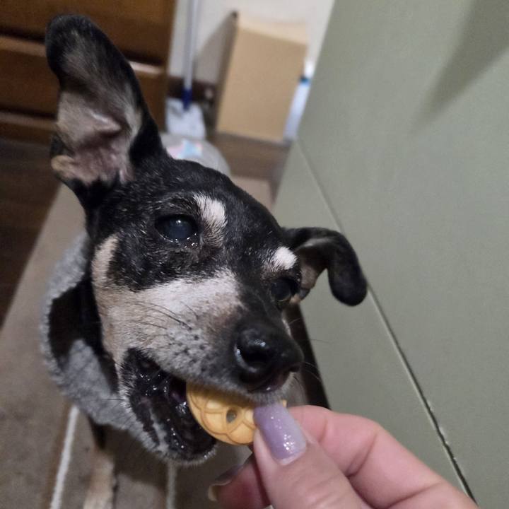 E2e1265d 8253 442a 8769 a50014514863 1768161375565