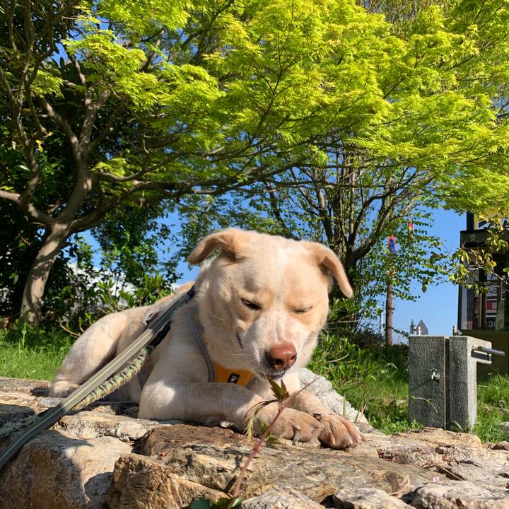 E2e13dda fd9b 4c1c b6a5 701505cddcb3 1555112926495