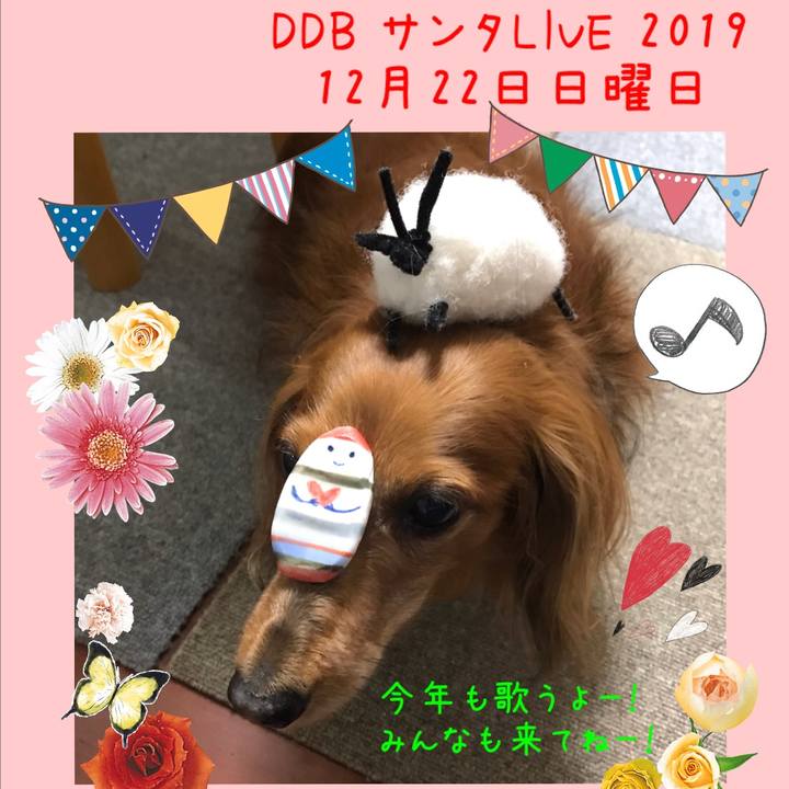 E2e1428e a4e0 4185 93f0 e4d66772270f 1576447012216