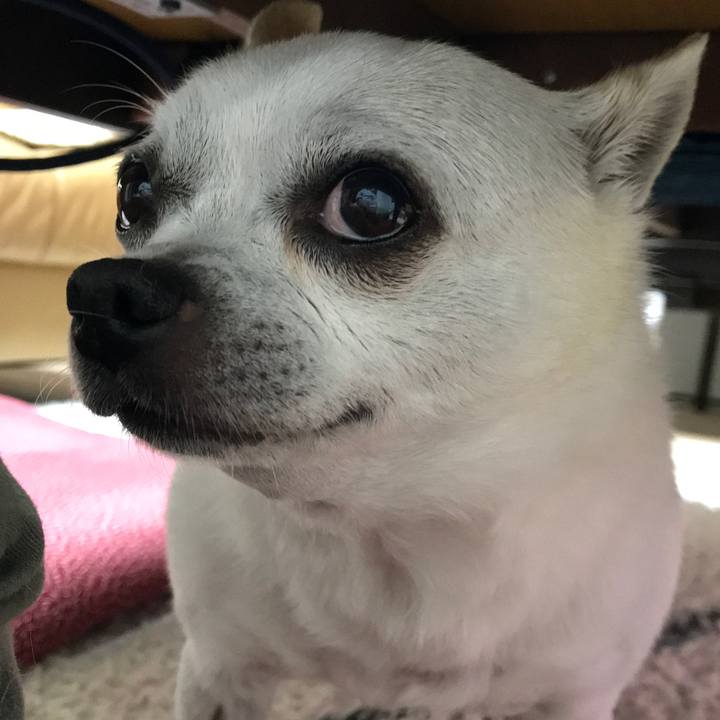 E2e14e73 1c42 4a82 bf25 2f2750b6a74a 1640843795739