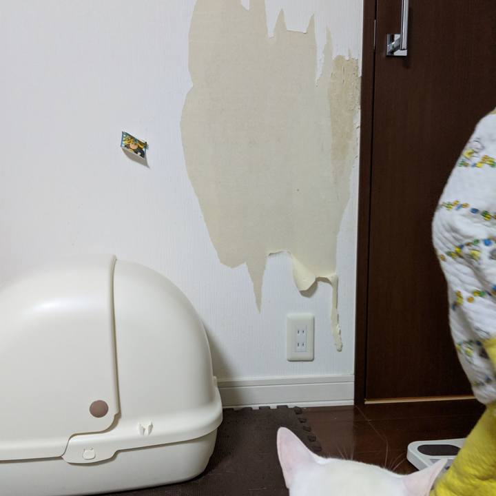 E2e15c07 7e28 4e16 b37e e02a73be74ee 1546766477396