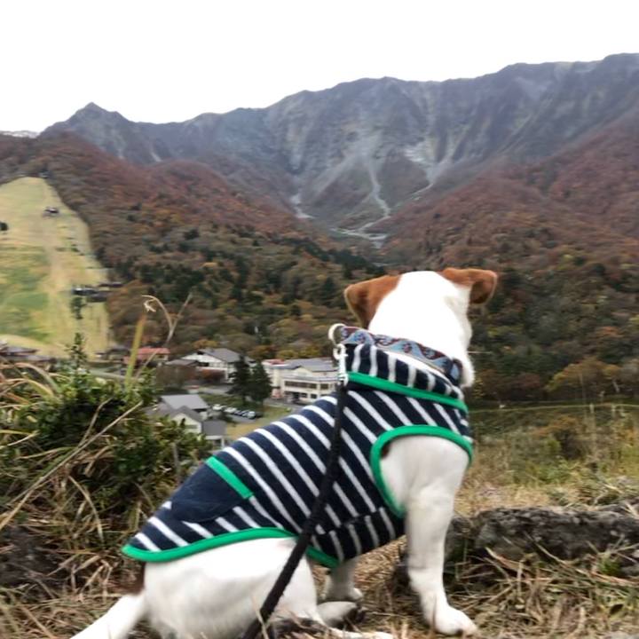 E2e15c8e ac96 410d 8e16 0bf4f5fc2db7 1540794801403