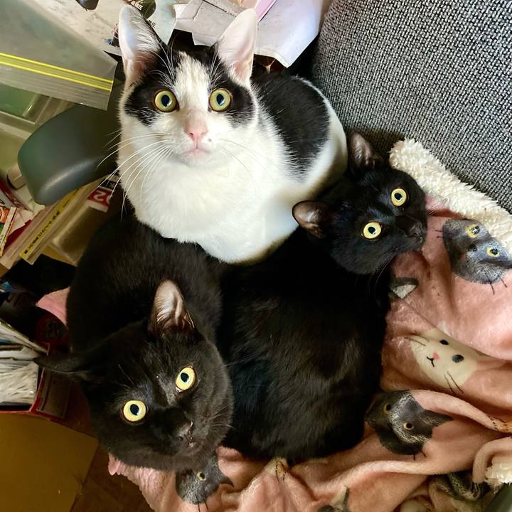 E2e16c36 7bd7 4016 a9a5 cb8ad7180b1c 1645775878781