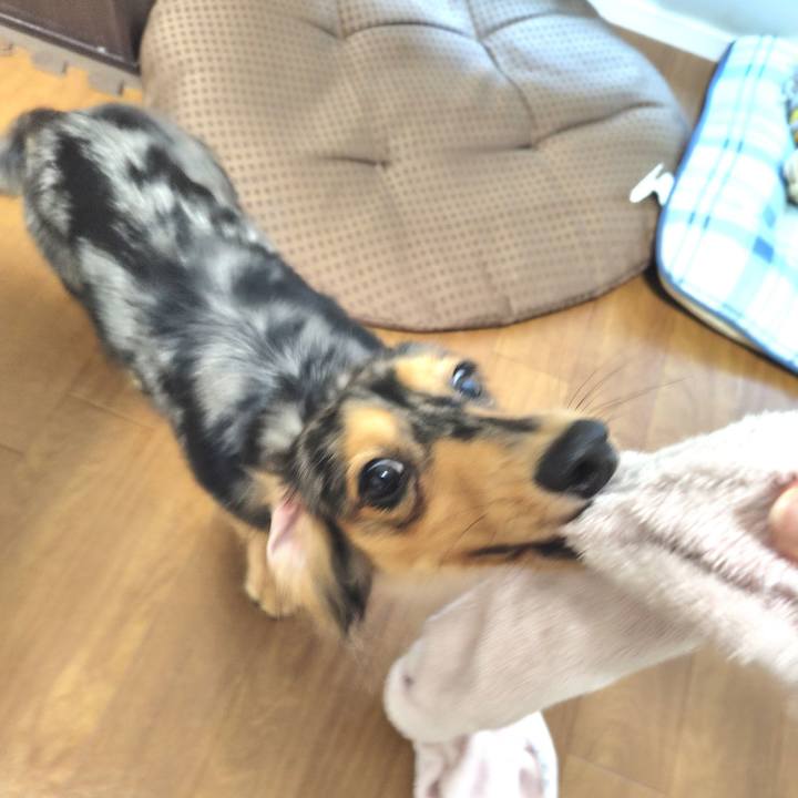 E2e19989 c739 4b8e 9c05 e1b60efcfabc 1724400773905