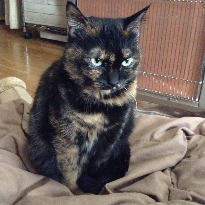 E2e1a2ba 03b9 4aa5 a38e 0c05dabb5af7 1546841578698